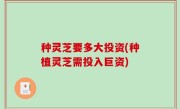 种灵芝要多大投资(种植灵芝需投入巨资)