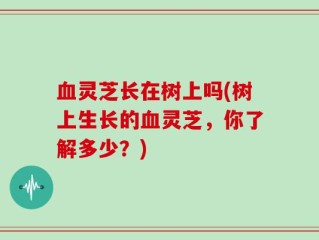 血灵芝长在树上吗(树上生长的血灵芝，你了解多少？)