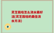 灵芝栽培怎么浇水最好活(灵芝栽培的最佳浇水方法)