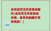 自驾游灵芝风景路线图片(自驾灵芝风景路线攻略，美景如画图片带你畅游！)