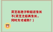 灵芝出孢子粉后还生长不(灵芝之后再生长，何时方才成熟？)