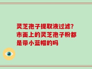 灵芝孢子提取液过滤？市面上的灵芝孢子粉都是带小蓝帽的吗