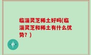 临淄灵芝稀土好吗(临淄灵芝和稀土有什么优势？)