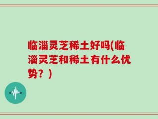 临淄灵芝稀土好吗(临淄灵芝和稀土有什么优势？)