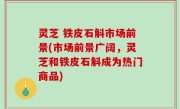 灵芝 铁皮石斛市场前景(市场前景广阔，灵芝和铁皮石斛成为热门商品)