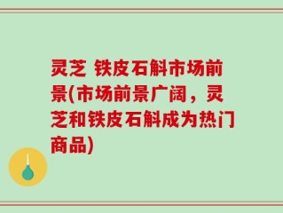 灵芝 铁皮石斛市场前景(市场前景广阔，灵芝和铁皮石斛成为热门商品)
