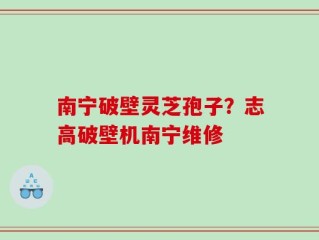 南宁破壁灵芝孢子？志高破壁机南宁维修