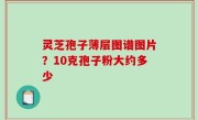 灵芝孢子薄层图谱图片？10克孢子粉大约多少