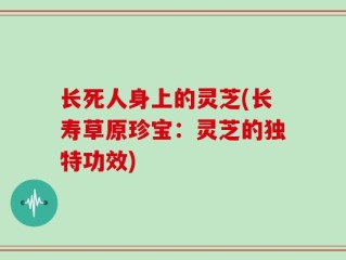 长死人身上的灵芝(长寿草原珍宝：灵芝的独特功效)