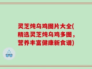 灵芝炖乌鸡图片大全(精选灵芝炖乌鸡多图，营养丰富健康新食谱)