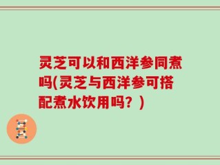 灵芝可以和西洋参同煮吗(灵芝与西洋参可搭配煮水饮用吗？)