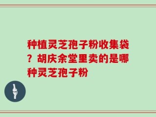 种植灵芝孢子粉收集袋？胡庆余堂里卖的是哪种灵芝孢子粉