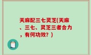 天麻配三七灵芝(天麻、三七、灵芝三者合力，有何功效？)