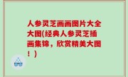 人参灵芝画画图片大全大图(经典人参灵芝插画集锦，欣赏精美大图！)