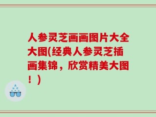 人参灵芝画画图片大全大图(经典人参灵芝插画集锦，欣赏精美大图！)