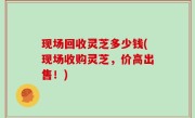 现场回收灵芝多少钱(现场收购灵芝，价高出售！)