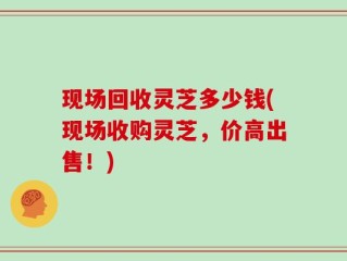 现场回收灵芝多少钱(现场收购灵芝，价高出售！)