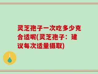 灵芝孢子一次吃多少克合适呢(灵芝孢子：建议每次适量摄取)