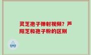 灵芝孢子弹射视频？芦阳芝和孢子粉的区别