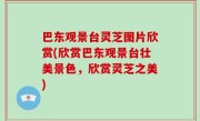 巴东观景台灵芝图片欣赏(欣赏巴东观景台壮美景色，欣赏灵芝之美)