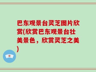 巴东观景台灵芝图片欣赏(欣赏巴东观景台壮美景色，欣赏灵芝之美)