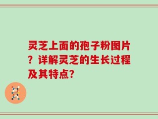 灵芝上面的孢子粉图片？详解灵芝的生长过程及其特点？
