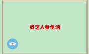 灵芝人参龟汤