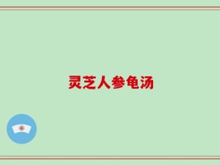 灵芝人参龟汤