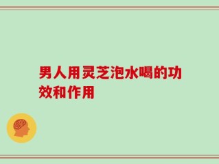 男人用灵芝泡水喝的功效和作用