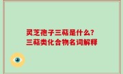灵芝孢子三萜是什么？三萜类化合物名词解释