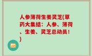 人参薄荷生姜灵芝(草药大集结：人参、薄荷、生姜、灵芝总动员！)