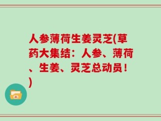 人参薄荷生姜灵芝(草药大集结：人参、薄荷、生姜、灵芝总动员！)