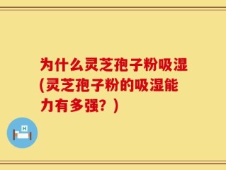为什么灵芝孢子粉吸湿(灵芝孢子粉的吸湿能力有多强？)