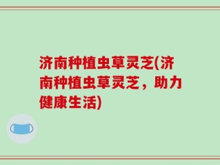 济南种植虫草灵芝(济南种植虫草灵芝，助力健康生活)
