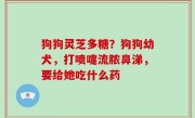 狗狗灵芝多糖？狗狗幼犬，打喷嚏流脓鼻涕，要给她吃什么药