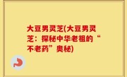 大豆男灵芝(大豆男灵芝：探秘中华老祖的“不老药”奥秘)