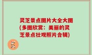 灵芝景点图片大全大图(多图欣赏：美丽的灵芝景点壮观照片合辑)