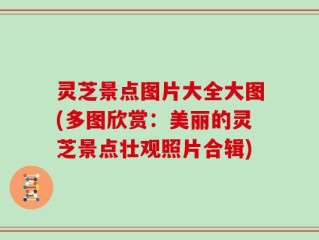灵芝景点图片大全大图(多图欣赏：美丽的灵芝景点壮观照片合辑)