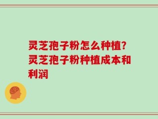 灵芝孢子粉怎么种植？灵芝孢子粉种植成本和利润