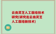 云南灵芝人工栽培技术研究(研究出云南灵芝人工栽培新技术)