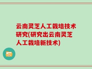 云南灵芝人工栽培技术研究(研究出云南灵芝人工栽培新技术)