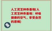 人工灵芝种养基地(人工灵芝种养基地：呼吸健康的空气，享受自然的恩赐)