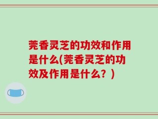 莞香灵芝的功效和作用是什么(莞香灵芝的功效及作用是什么？)