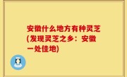 安徽什么地方有种灵芝(发现灵芝之乡：安徽一处佳地)