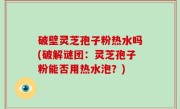 破壁灵芝孢子粉热水吗(破解谜团：灵芝孢子粉能否用热水泡？)