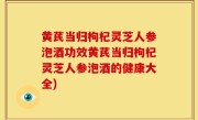 黄芪当归枸杞灵芝人参泡酒功效黄芪当归枸杞灵芝人参泡酒的健康大全)