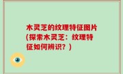 木灵芝的纹理特征图片(探索木灵芝：纹理特征如何辨识？)