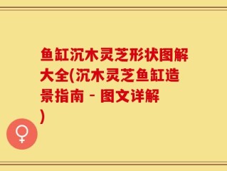 鱼缸沉木灵芝形状图解大全(沉木灵芝鱼缸造景指南 - 图文详解)