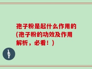 孢子粉是起什么作用的(孢子粉的功效及作用解析，必看！)