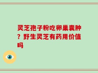 灵芝孢子粉吃卵巢囊肿？野生灵芝有药用价值吗